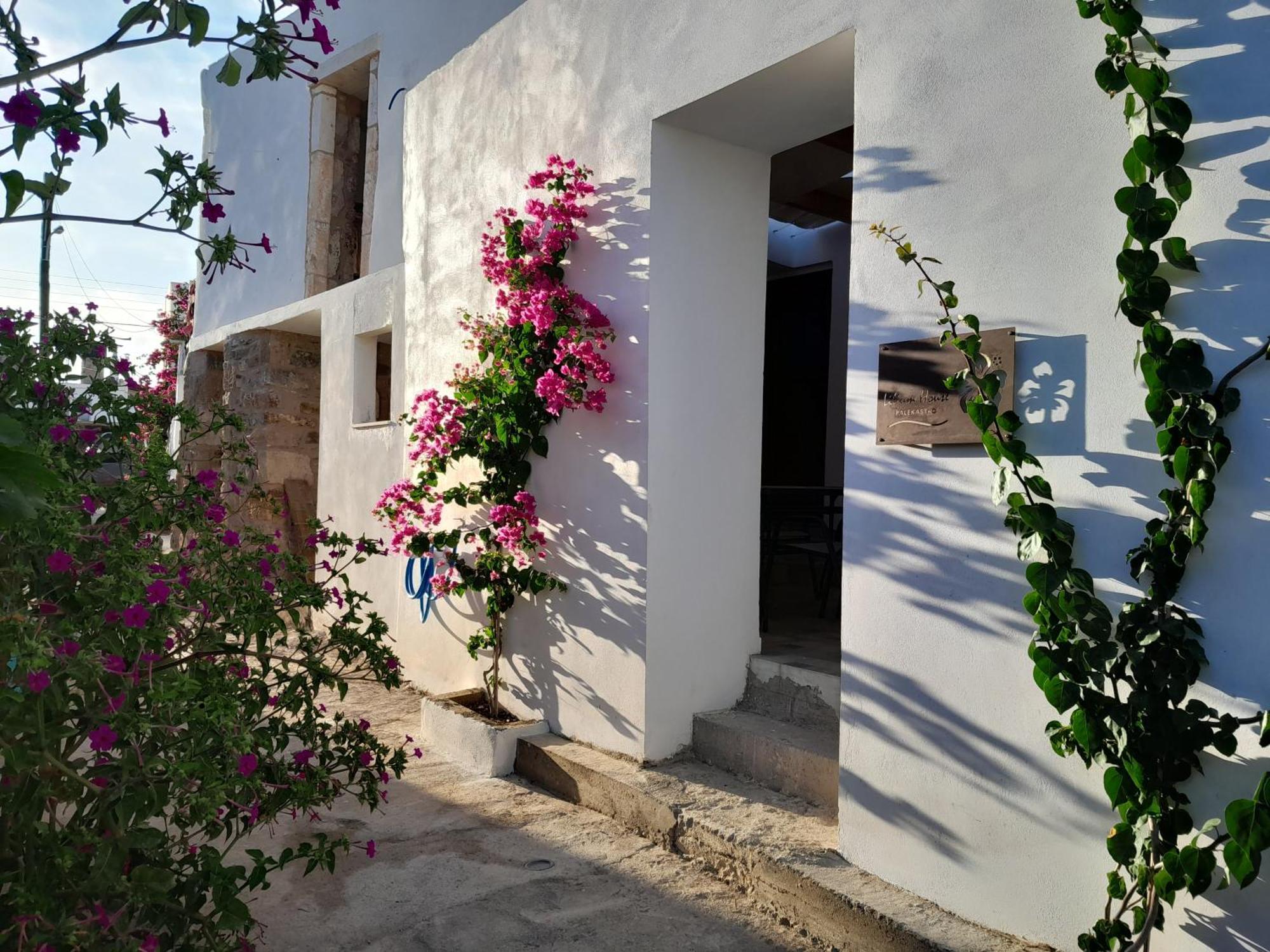 Lilium House