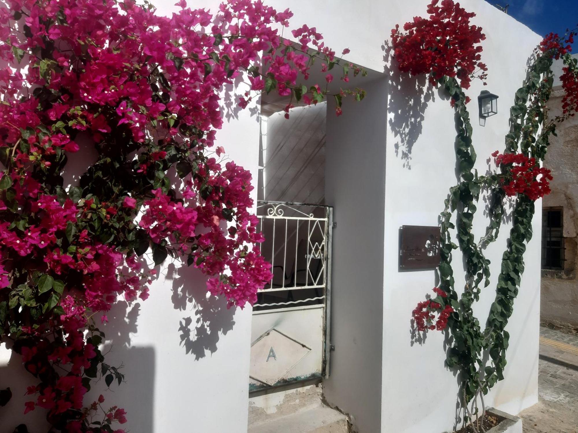 Lilium House